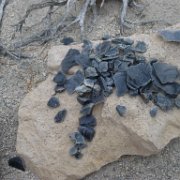 MonoBasin 104 : MonoBasin